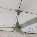 luckymisu-ceiling-fan-48-เขียว-2021-08-20 (4)